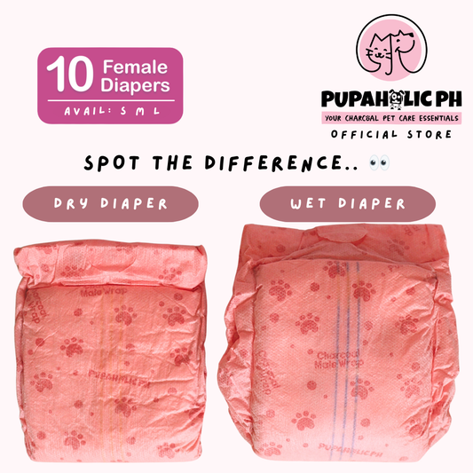Charcoal Diaper 10pcs/box