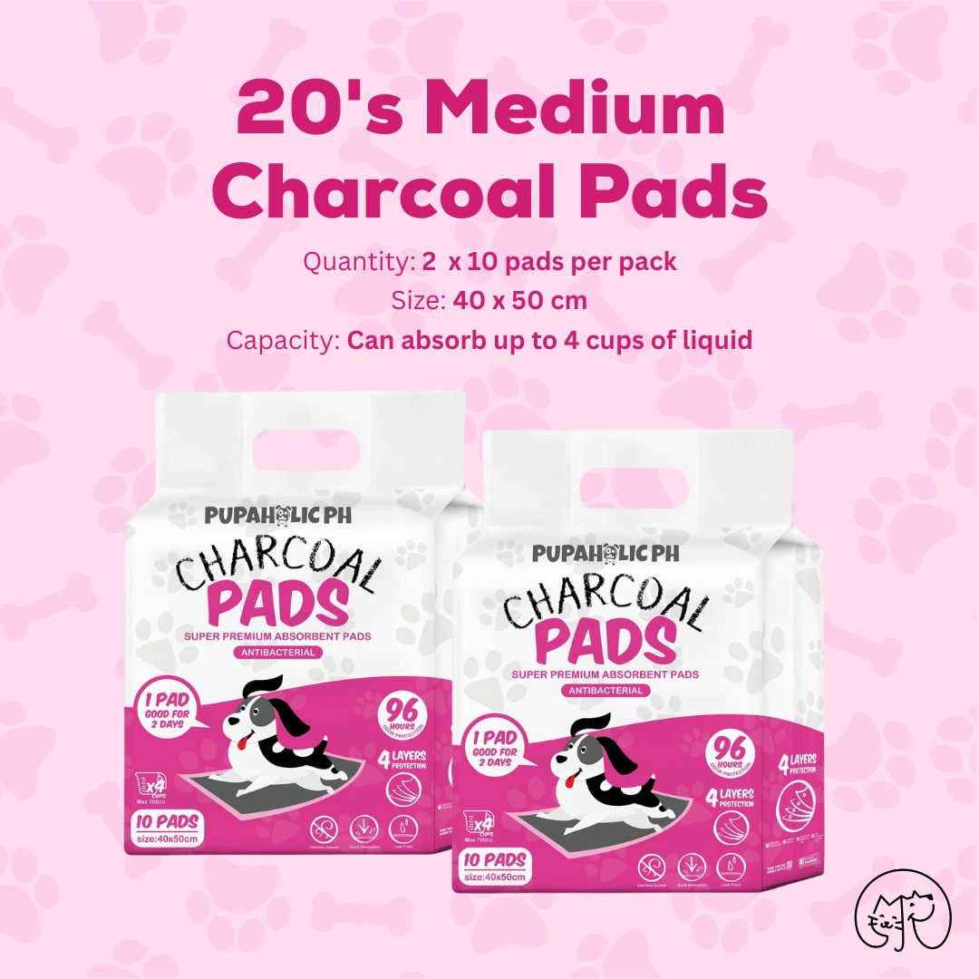 Starter Pack: 20's Medium Charcoal Pads – Pupaholic PH