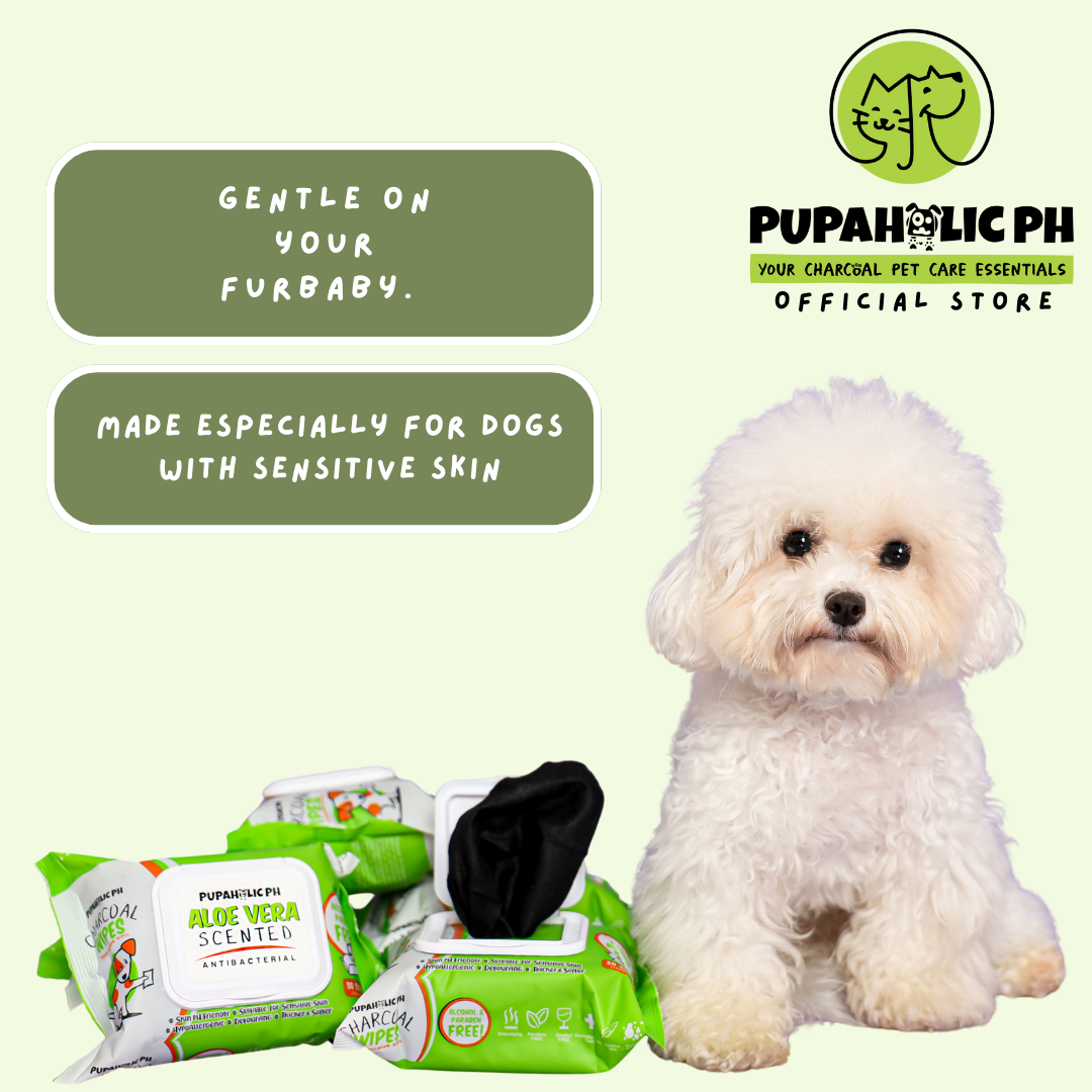 2 Packs of Charcoal Wipes - (30 sheets)