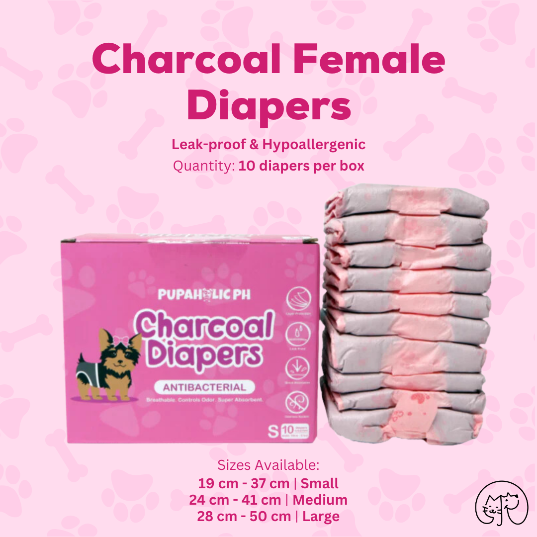 1 Box of PUPAHOLIC PH CHARCOAL DIAPER 10pcs/box