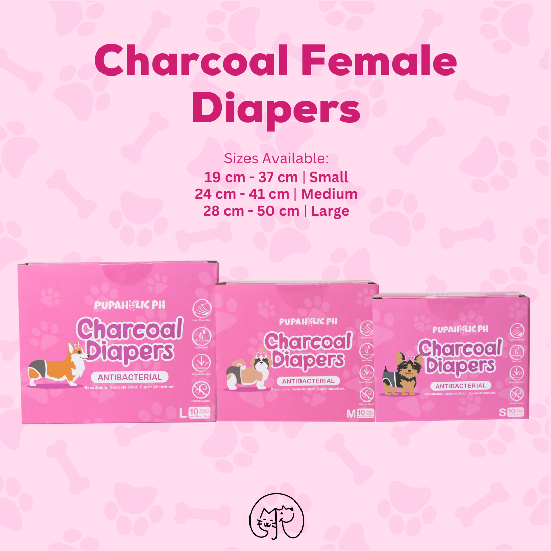 1 Box of PUPAHOLIC PH CHARCOAL DIAPER 10pcs/box