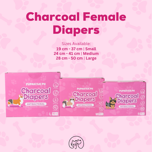 Charcoal Diaper 10pcs/box