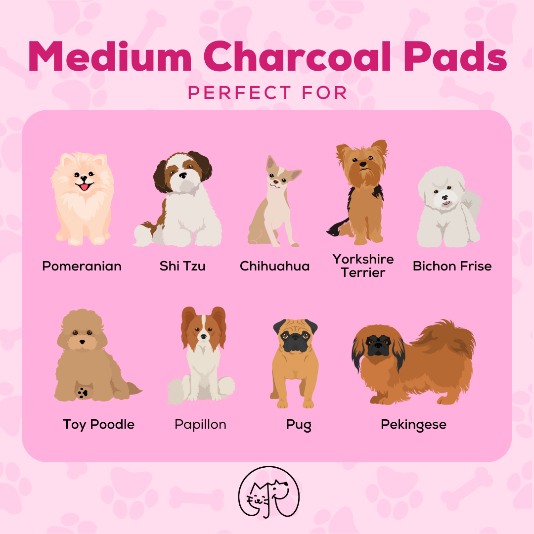 Medium Charcoal Pads