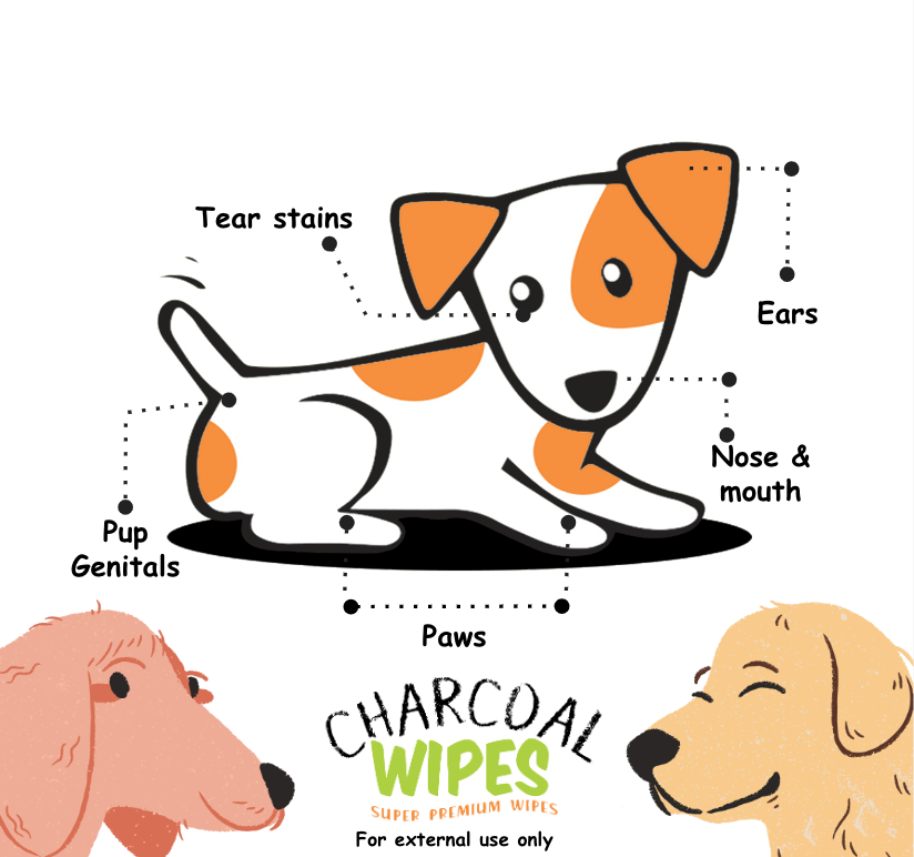 1 Pack Pupholic PH Charcoal Pet Wipes (80 sheets)