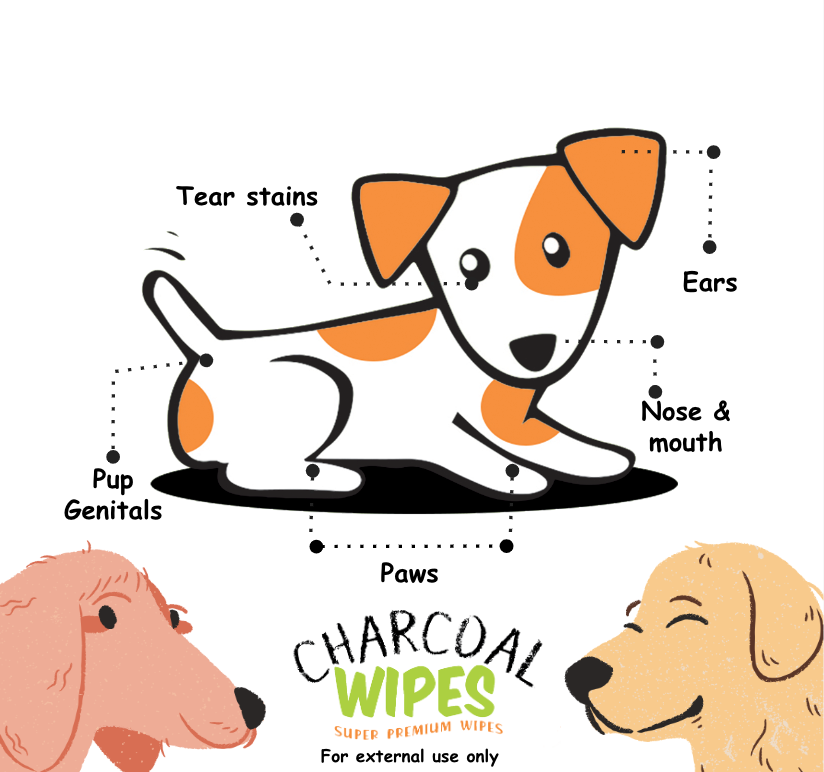 4+1 Charcoal Pet Wipes (80 sheets)