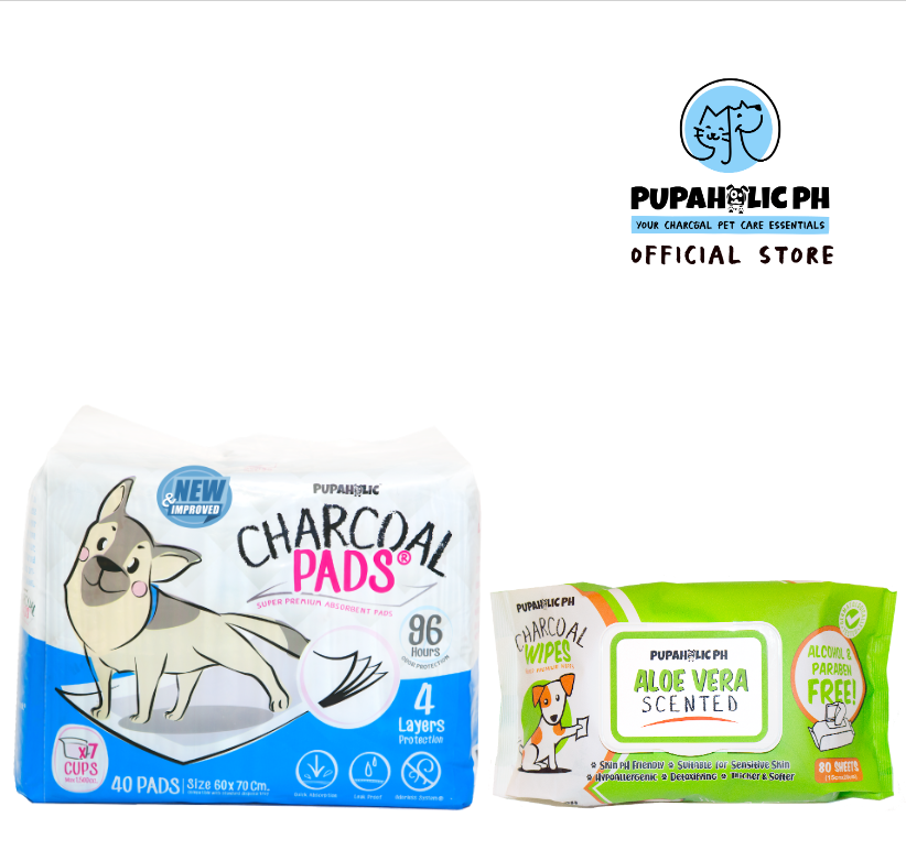 Bundle Promo: 1 Bag Pupaholic PH Charcoal Large Pads + 1 Pack Pupaholic Ph Charcoal Wipes