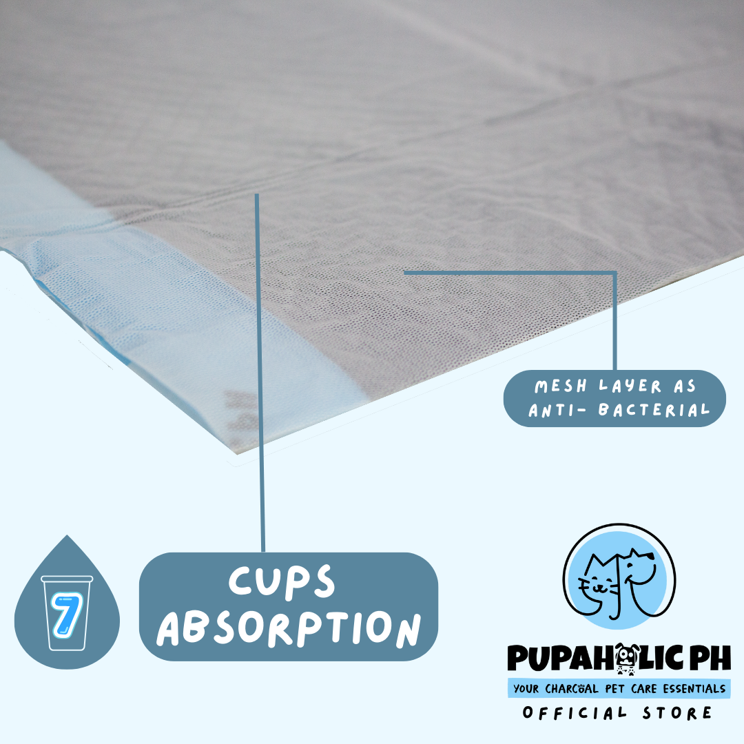 Large Charcoal Pads & Charcoal Wipes Bundle