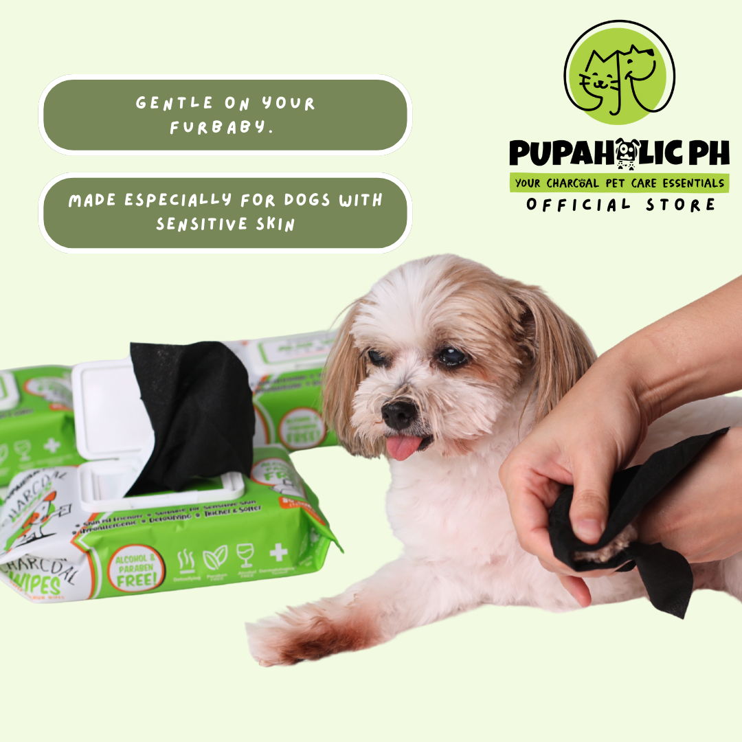 Medium Charcoal Pads & Charcoal Wipes Bundle