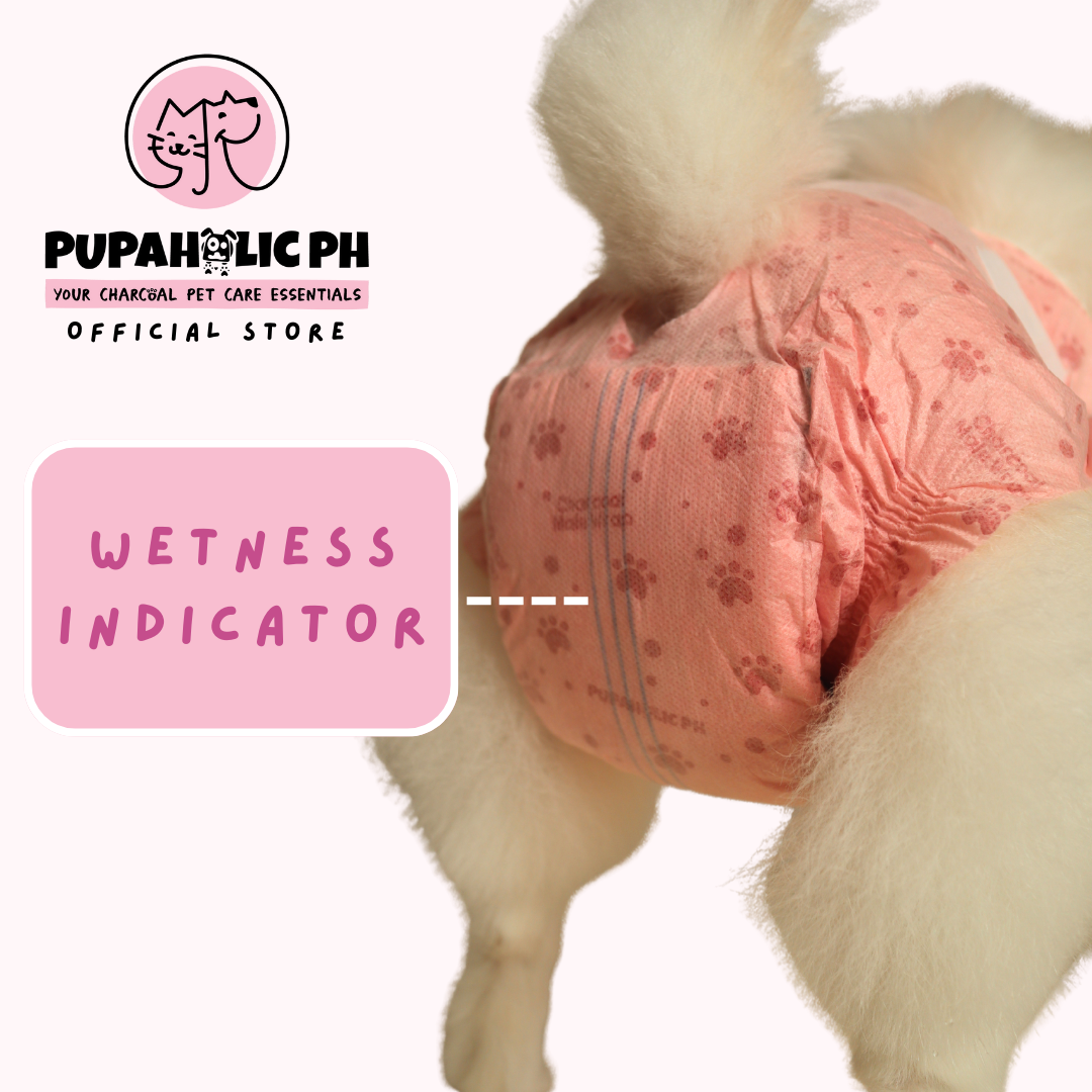 Charcoal Diaper 10pcs/box