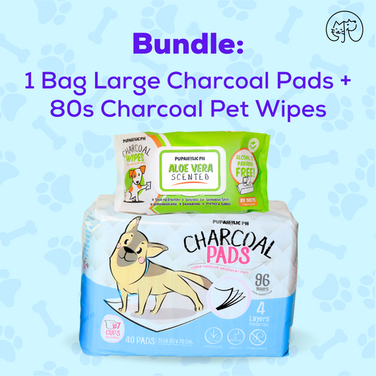 Bundle Promo: 1 Bag Pupaholic PH Charcoal Large Pads + 1 Pack Pupaholic Ph Charcoal Wipes