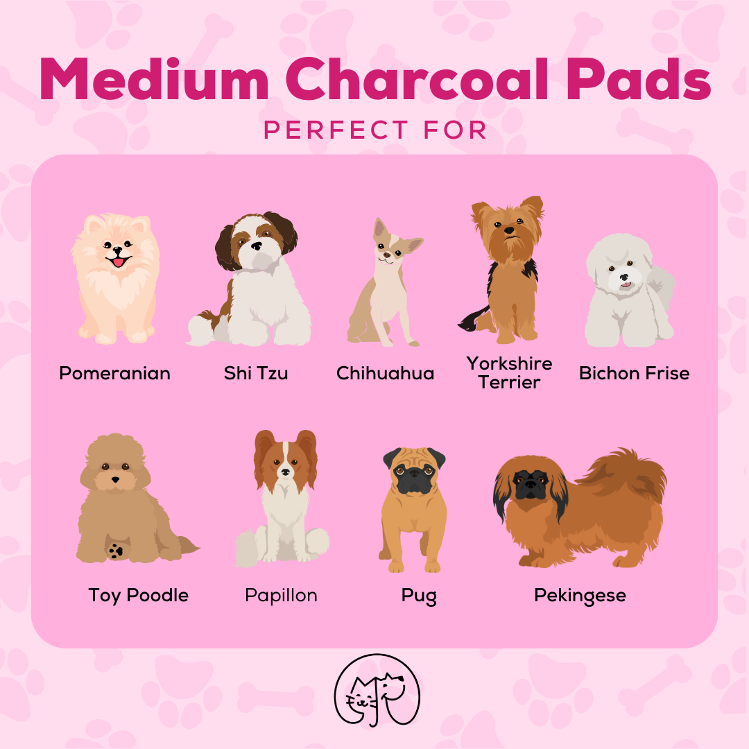 1 Pupaholic PH NEW and IMPROVED Charcoal Pads Dog Training Pee Pads 10pcs -Medium 40cm x 50cm - Good for 20 days use