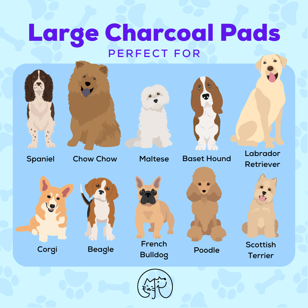 1 Pupaholic PH NEW and IMPROVED Charcoal Pads Dog Training Pee Pads 20pcs -Large 60cm x 70cm - Good for 40 days use