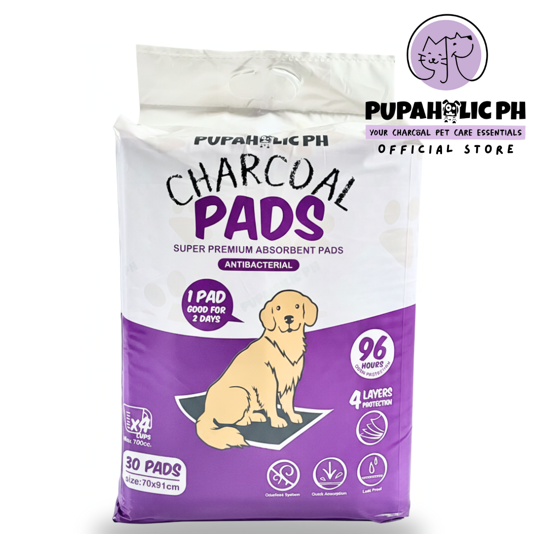 XL Charcoal Pads