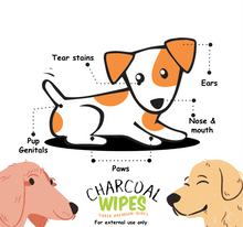 Load image into Gallery viewer, 1 Pack Pupholic PH Charcoal Pet Wipes (80 sheets)