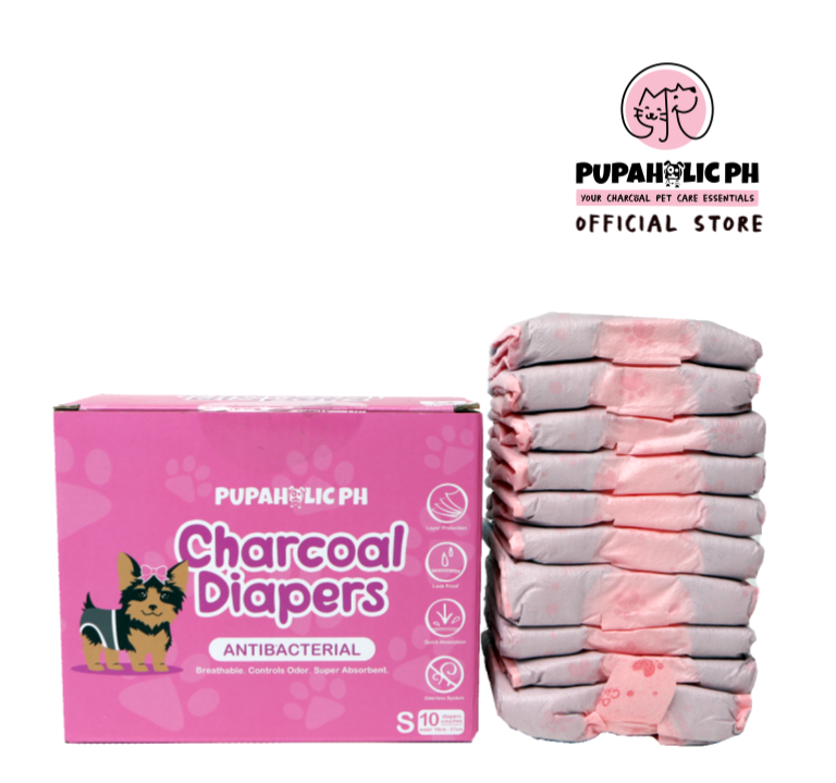 1 Box of PUPAHOLIC PH CHARCOAL DIAPER 10pcs/box